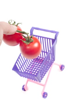 Conceptual photo with miniature shopping-cart isolated on white