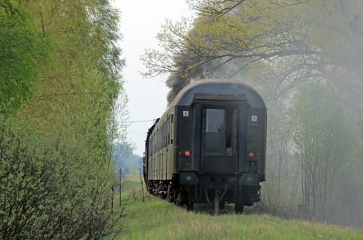 Steam retro train passing the forest