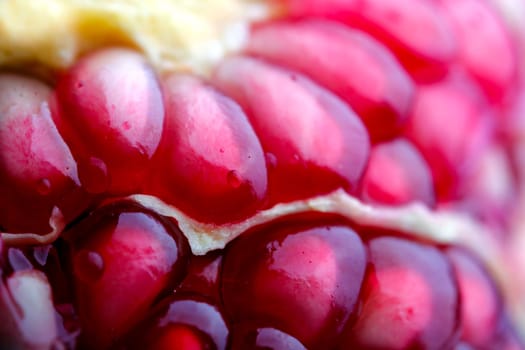 A closeup macro image of pomegranate seeds