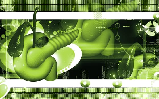 Digital illustration of pancreas in colour background