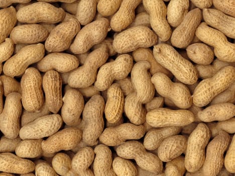 Pronounced texture of peanuts, the high accuracy of the details