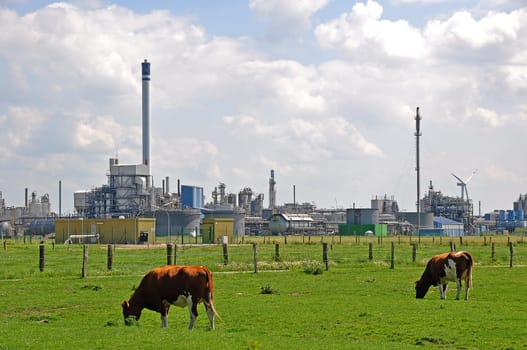 Industry and agriculture