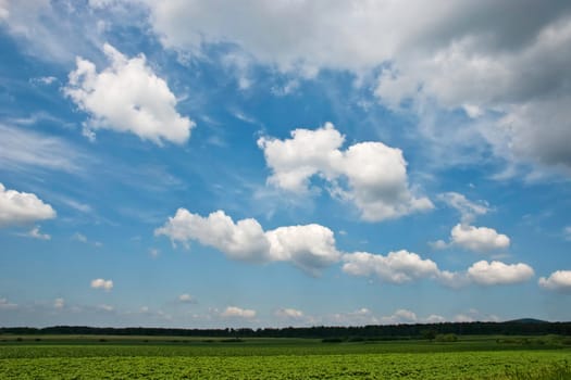 Fields with sky and clouds