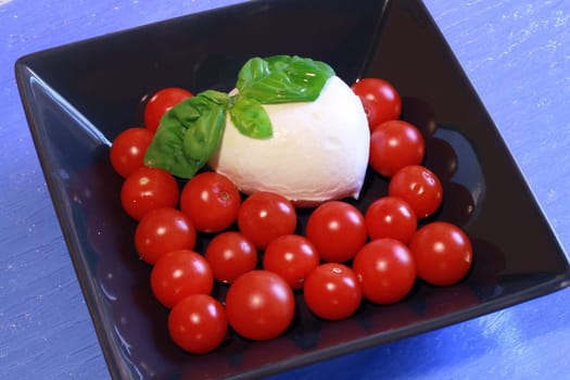 italian mozzarella with fresh tomatoes