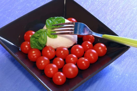italian mozzarella with fresh tomatoes