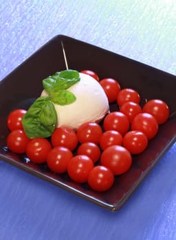 italian mozzarella with fresh tomatoes
