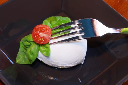 italian mozzarella with fresh tomatoes