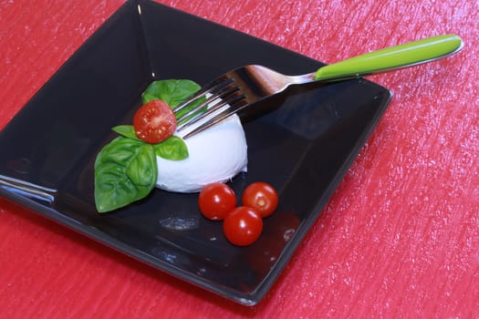 italian mozzarella with fresh tomatoes