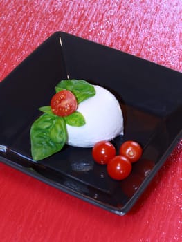 italian mozzarella with fresh tomatoes