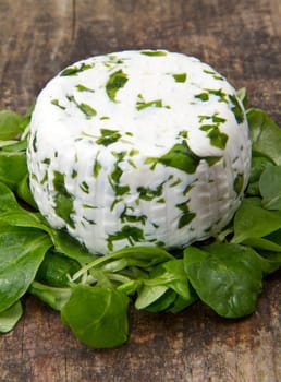 goat cheese with fresh rucola