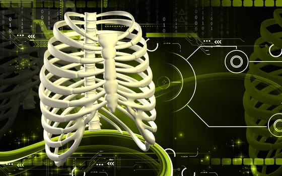 Digital illustration of rib cage in colour background