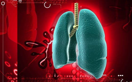 Digital illustration of human lungs in colour background