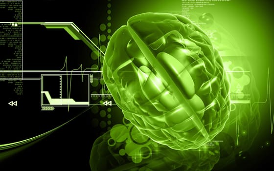 Digital illustration of brain in colour background