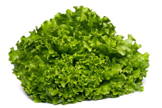 Close view of a green lettuce isolated on a white background.