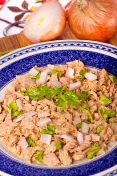 View of a meal of tuna with onion and parsley.