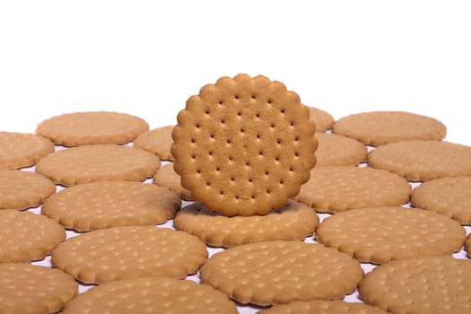 View of many round biscuits isolated on a white background.