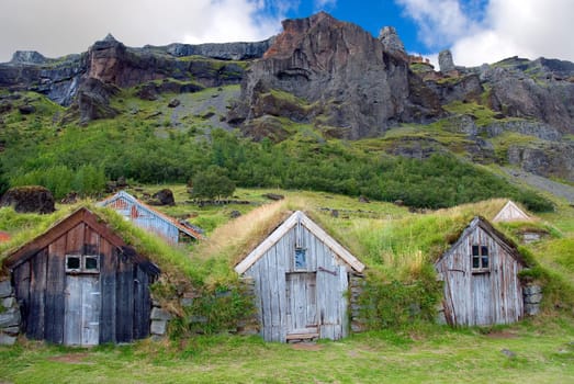 wooden houses with grass roof