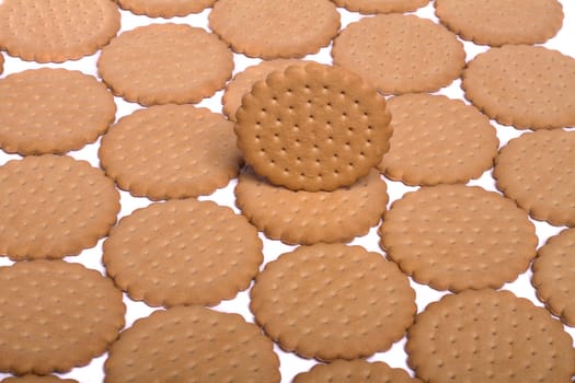 View of many round biscuits isolated on a white background.