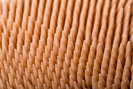 Macro view of a bunch of toothpicks inside a container.