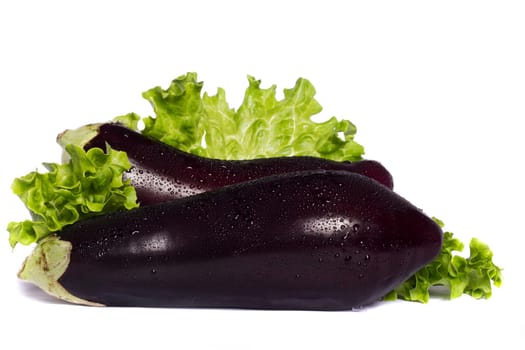 Close up view of an eggplant vegetable isolated on a white background.