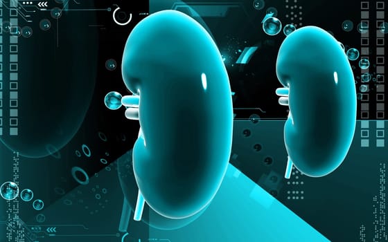 Digital illustration of kidney in colour background