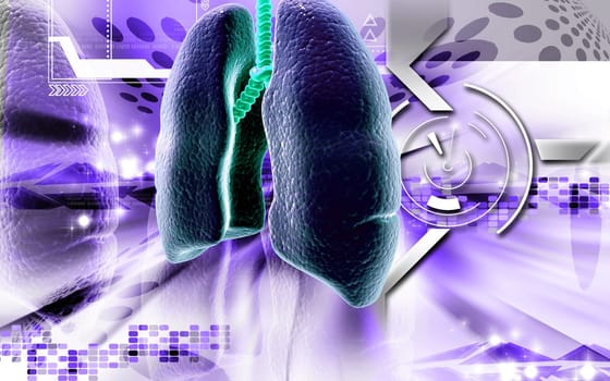 Digital illustration of human lungs in colour background