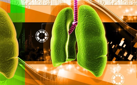 Digital illustration of human lungs in colour background
