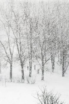 People walking in city park while heavily snowfalling