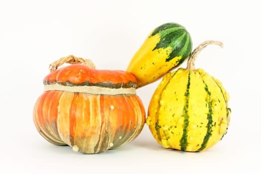 Miscellaneous colorful decorative gourds, isolated
