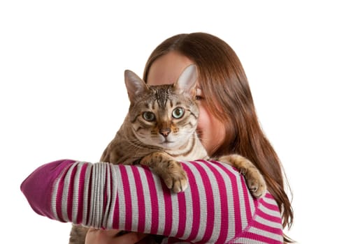 Bengal cat sits on shoulder of young woman and stares at camera in isolated studio shot showing love between pet and owner