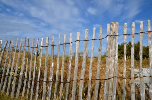 Fence at the beach sea coast