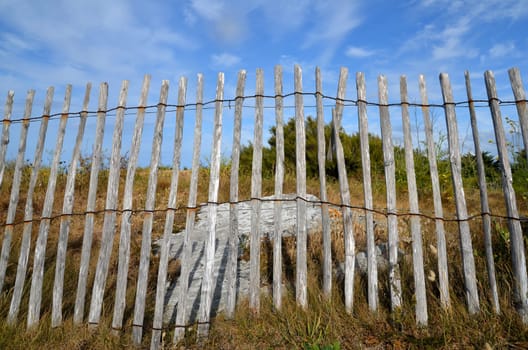 Fence at the beach sea coast