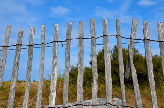 Fence at the beach sea coast