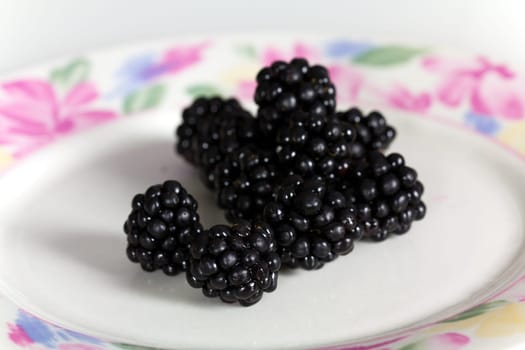 Fresh blackberries