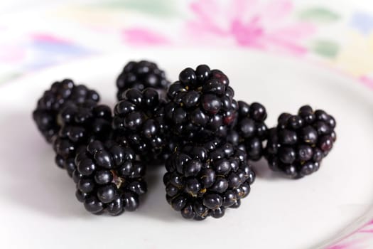 Fresh blackberries