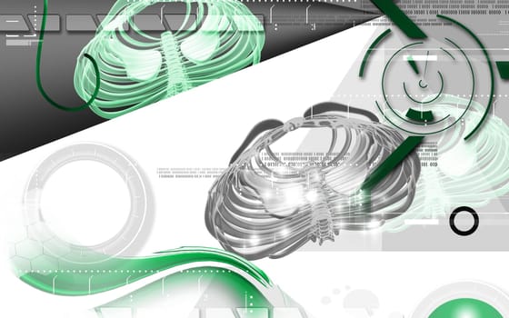 Digital illustration of collar bone in colour background