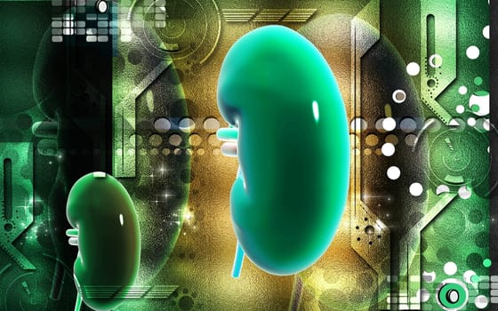 Digital illustration of kidney in colour background