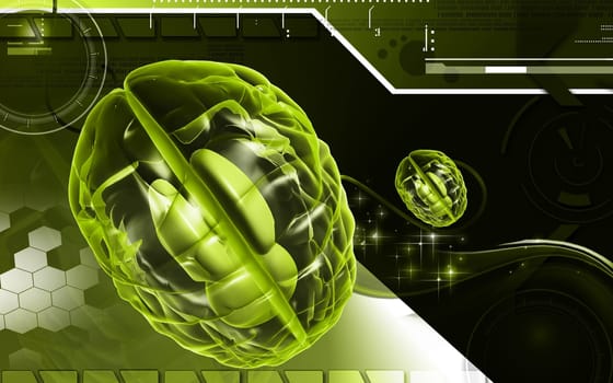 Digital illustration of brain in colour background