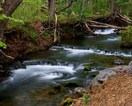 Cascade of water from a stream in the forest.