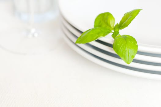 Empty White Plates With Basil Leaf and Wine Glass on Light Tablecloth