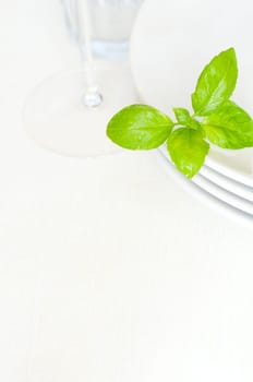 Empty White Plates With Basil Leaf and Wine Glass on Light Tablecloth