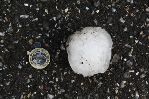 hail without taxi