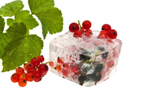 Currants