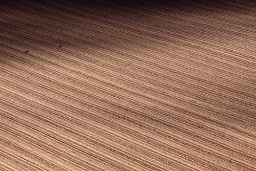 Field