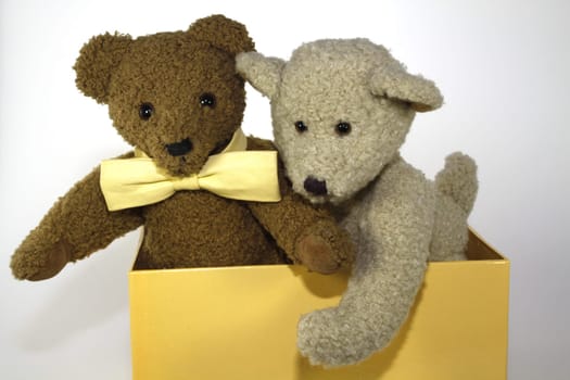 Two teddies in a yellow box