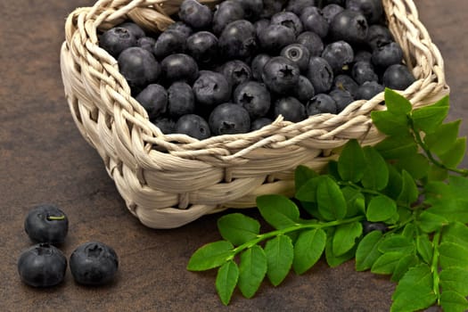 Blueberries - Blueberries