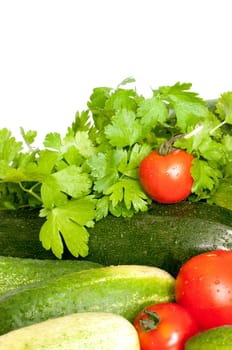 Close Up of Fresh Vegetables on White Background - Tomatoes, Cucumbers, Zucchinis and Parsley
