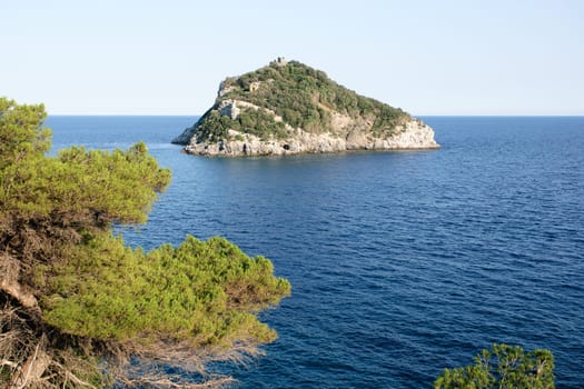 Island bergeggi among the pines
