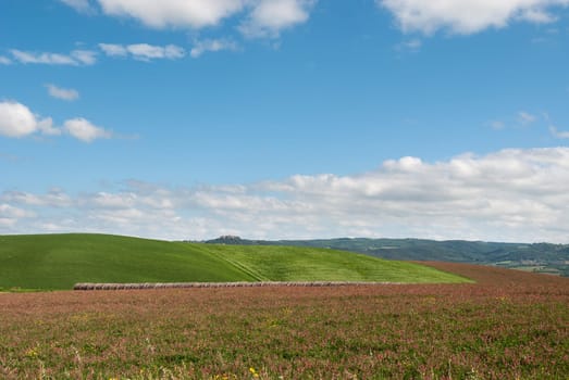 Landscape Tuscan hills in the spring