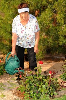 A Senior woman tending to a garden
